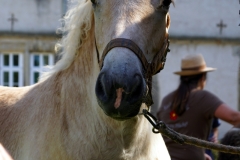 DSC00512